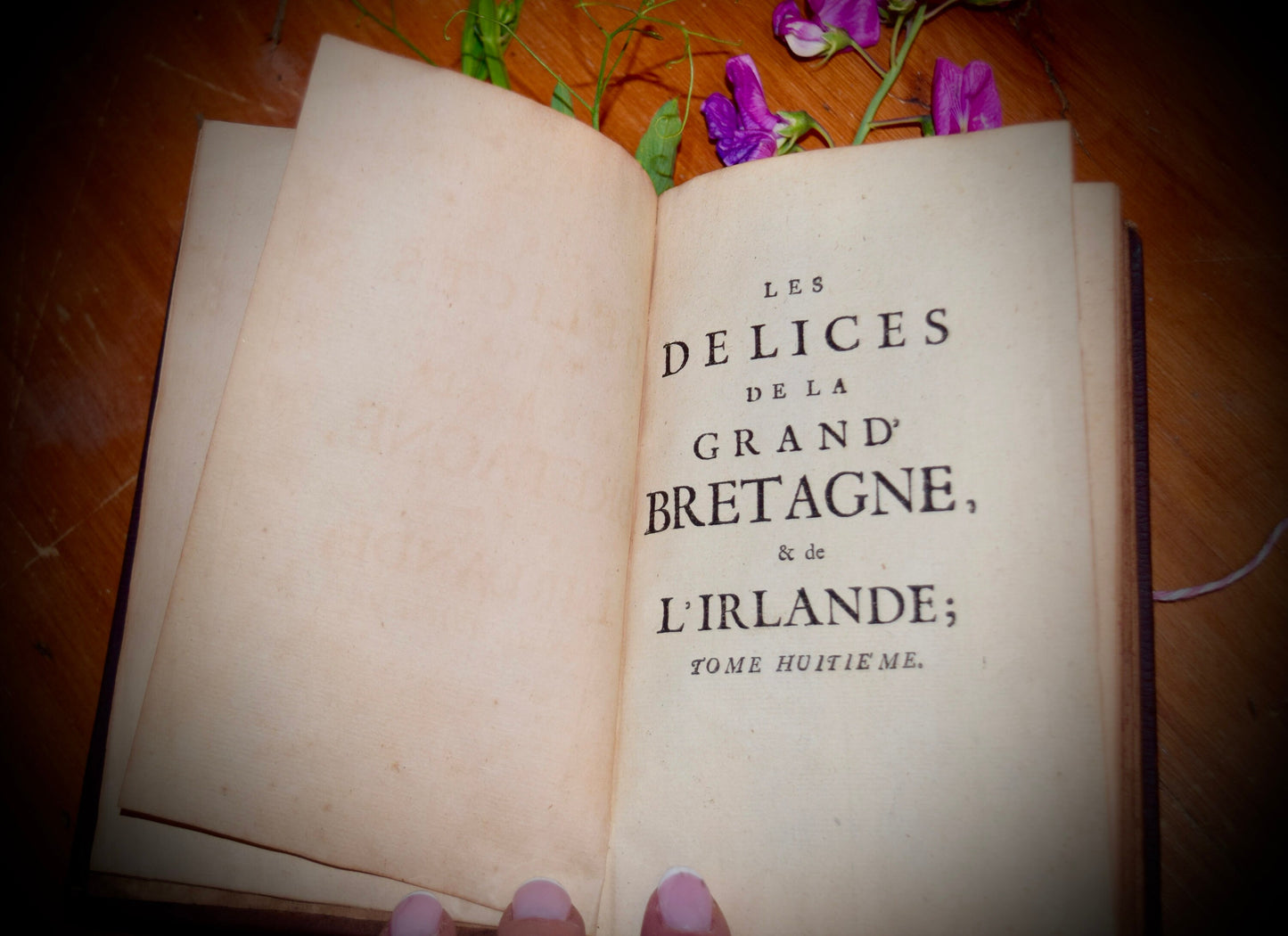 Antique French Book Les Delices De La Grand' Bretagne, & De L'Irlande.  Sku: B004