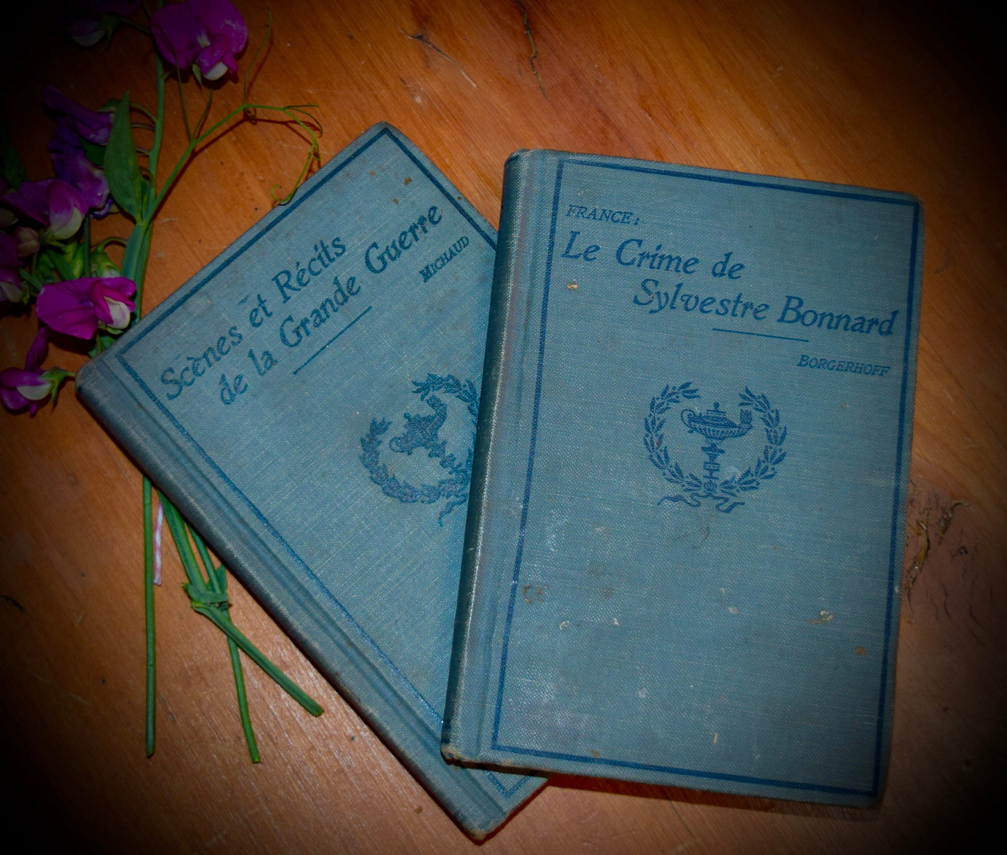 A Pair of French Antique Books /Borgerhoff & Michaud    Sku: B006