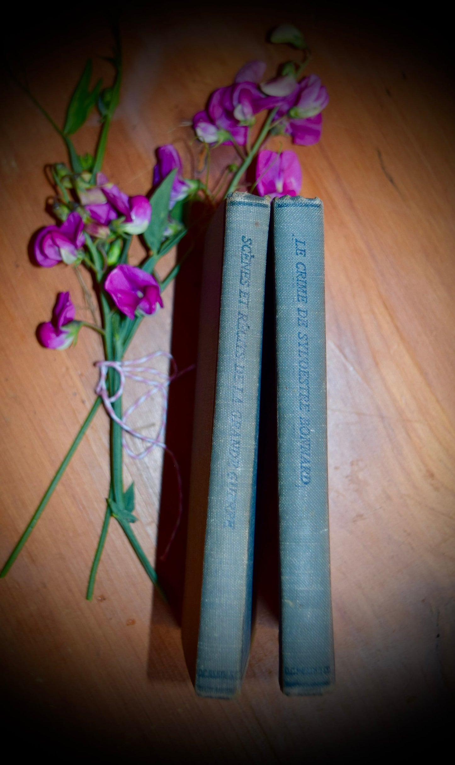 A Pair of French Antique Books /Borgerhoff & Michaud    Sku: B006